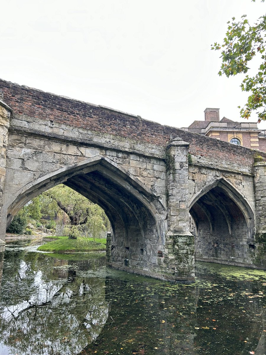 Daniel Watkins tweet media