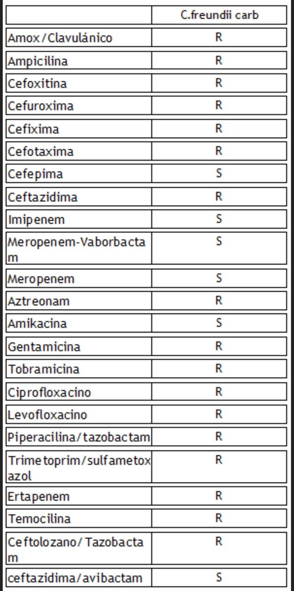 🦠 Citrobacter freundii

Te encuentras este fenotipo in vitro, en el que te llama la atención el ertapenem con CMI >8.0 🚨

No se detectan OXA-48, KPC, VIM, NDM ni IMP por PCR 🧬 ni se observan sinergias de ertapenem con EDTA, cloxacilina ni ác fenilborónico.

¿Qué te parece?