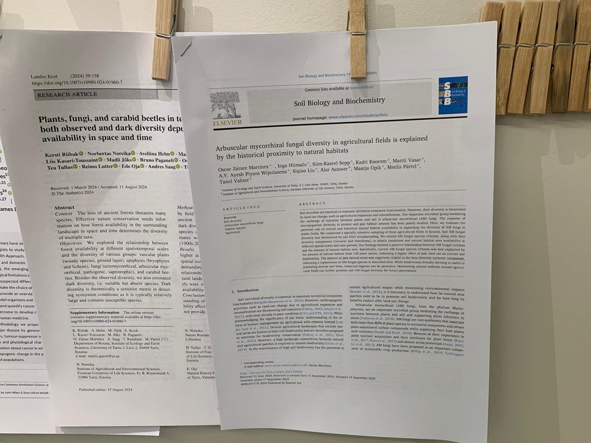 Oscar Zarate (@micoroscas) on Twitter photo So fresh that I had to hang it! Our paper exploring the relationship between past natural habitats and AM fungal diversity is now out 🌱📈🌐🍄
<a href="/MacroecologyUT/">Macroecology UT</a> and @.allcoauthors
Check more in:
sciencedirect.com/science/articl…
(Si lo dejo secando se hara cecina? ) So fresh that I had to hang it! Our paper exploring the relationship between past natural habitats and AM fungal diversity is now out 🌱📈🌐🍄
<a href="/MacroecologyUT/">Macroecology UT</a> and @.allcoauthors
Check more in:
sciencedirect.com/science/articl…
(Si lo dejo secando se hara cecina? )