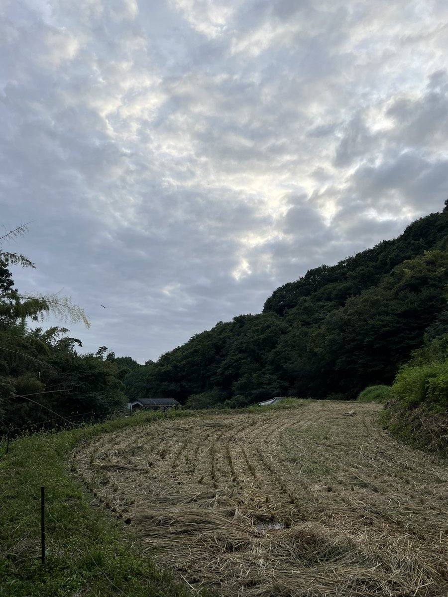 na0suk's tweet photo. 今年も無事に稲刈り終わりました（直右は天気の都合などで稲刈りの日程が変わって参加できず） https://t.co/rKbIc5KjtQ