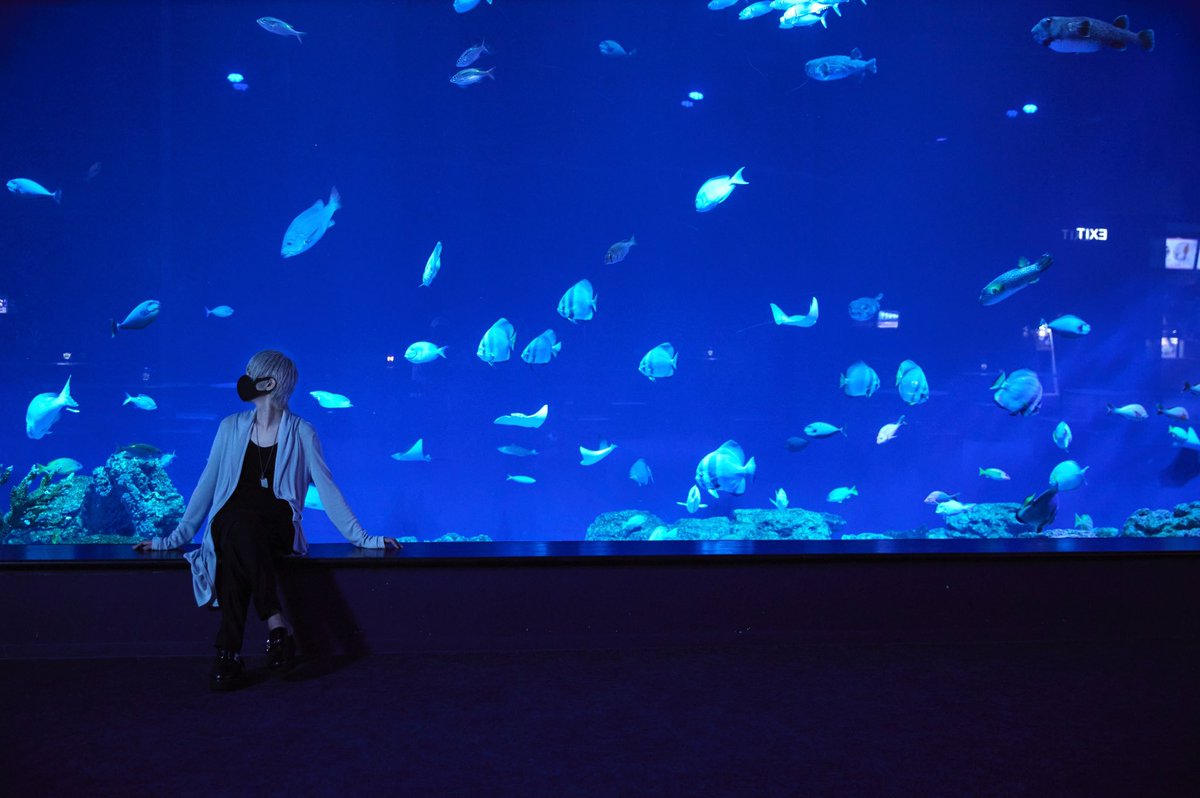 uni_mafumafu's tweet photo. 2024.12.25(水)発売
New Album『世会色ユニバース』
初回限定盤Bに収録される映像が決定！

沖縄のひとり旅が収録されます！！☀️
※服着てます

さらに！
「YouTube Music Weekend 8.0」の再編集版ライブ映像＆メイキング動画も収録されるよ！！|˶˙ᵕ˙˶)

https://t.co/rKO0FfWPBS https://t.co/WYaNxkbXJ9