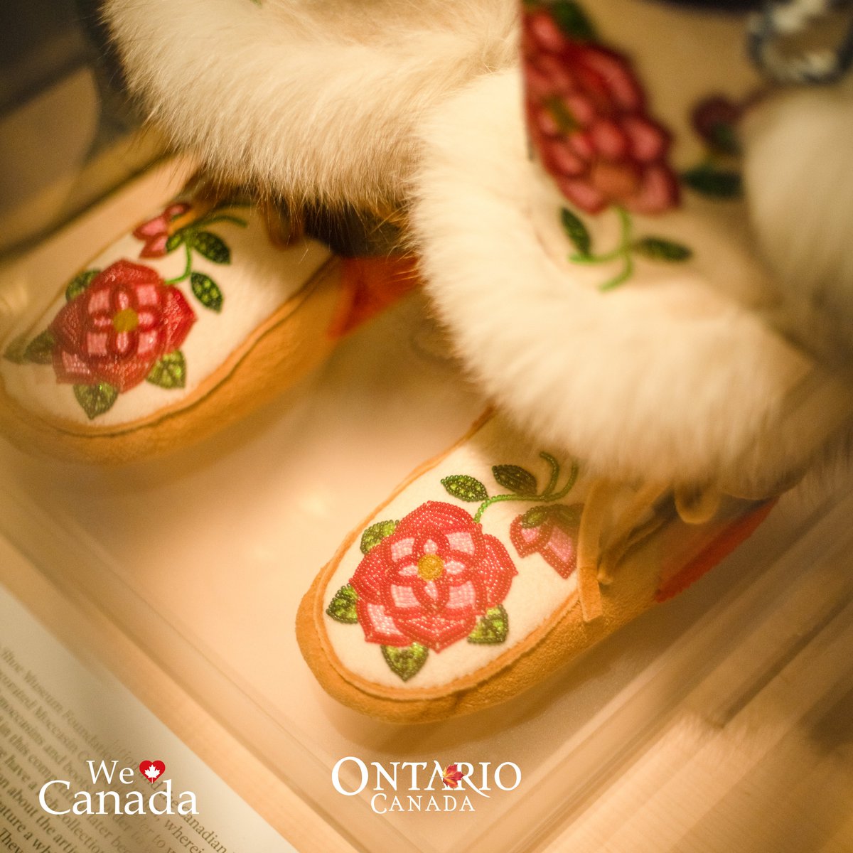 First Class Holidays tweet media