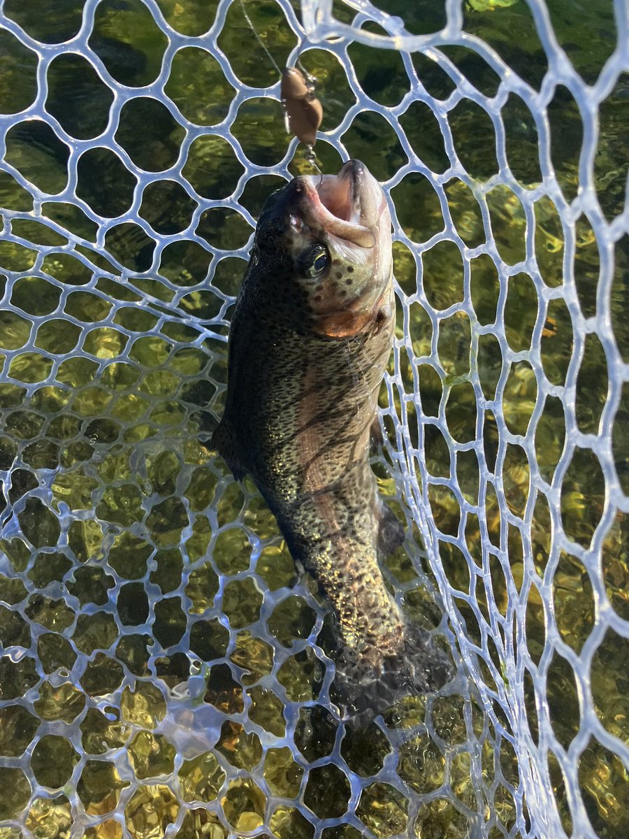 Tarotaroon11's tweet photo. 三連休最終日も高島の泉さん🎣今日の孝行息子たち。
#高島の泉
#golem
#pepino
#hydram
#wah
#grantremo
#panish https://t.co/eOTdtMZd5v