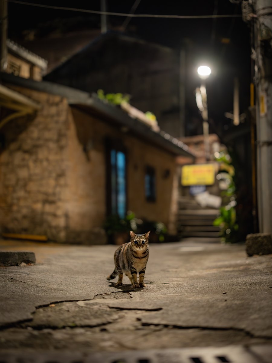 めっちゃ見られてた😳