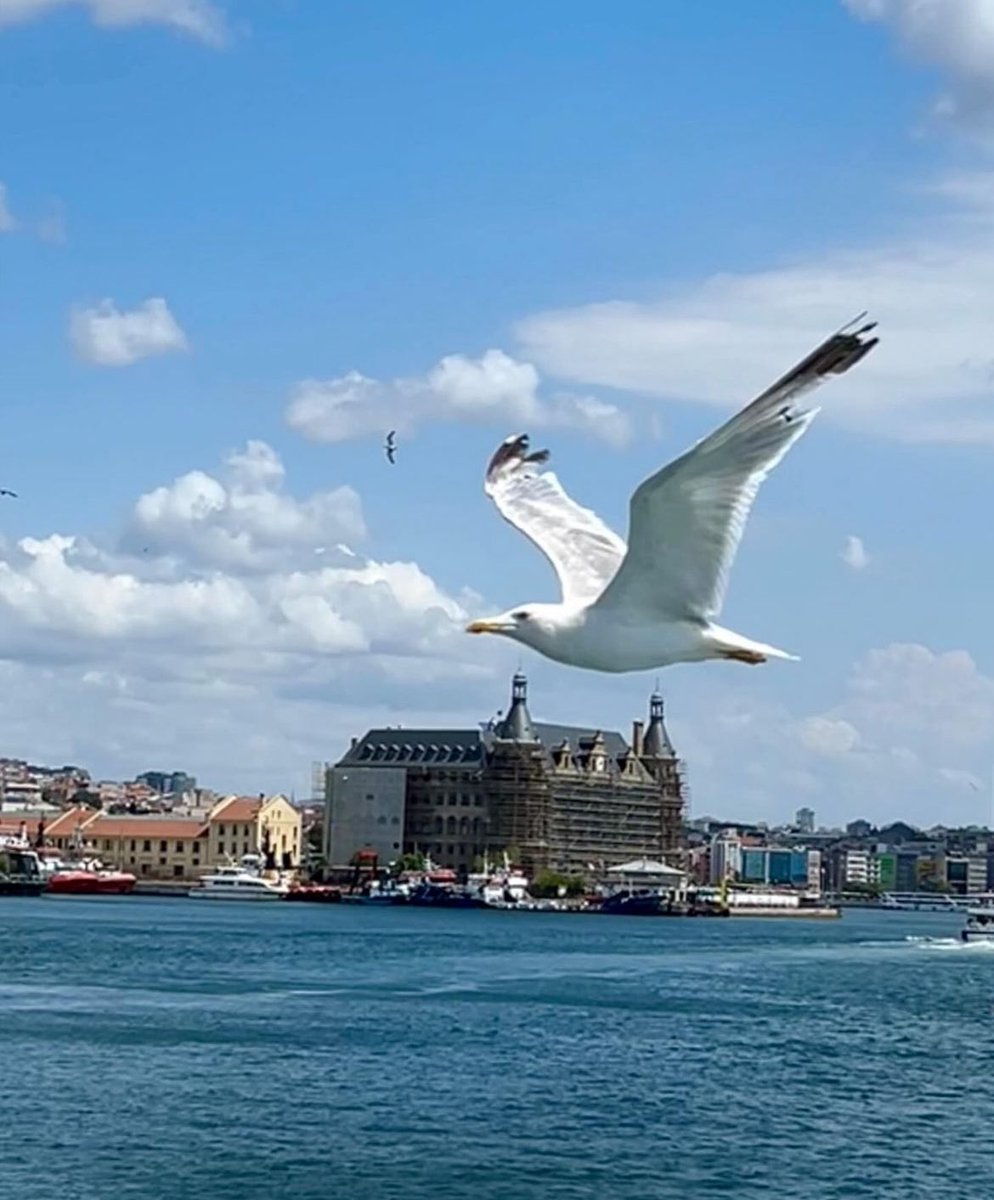 Elifce007's tweet photo. Romalı şair Phaedrus der ki:
Olaylar her zaman göründüğü gibi değildir. İlk izlenim oldukça aldatıcıdır. Çok az sayıda zeka, neyin dikkatle gizlendiğini kavrayabilir.
#Phaedrus https://t.co/dvKvCdxOjH