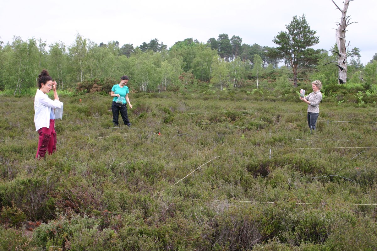 Research projects are usually 3 yrs, which isn’t long enough to detect #ecological changes &amp; impacts. The only way experiments can continue beyond a researcher’s project is if they are long-term &amp; protected as a national resource, &amp; this is our goal lght.ly/0kodk79