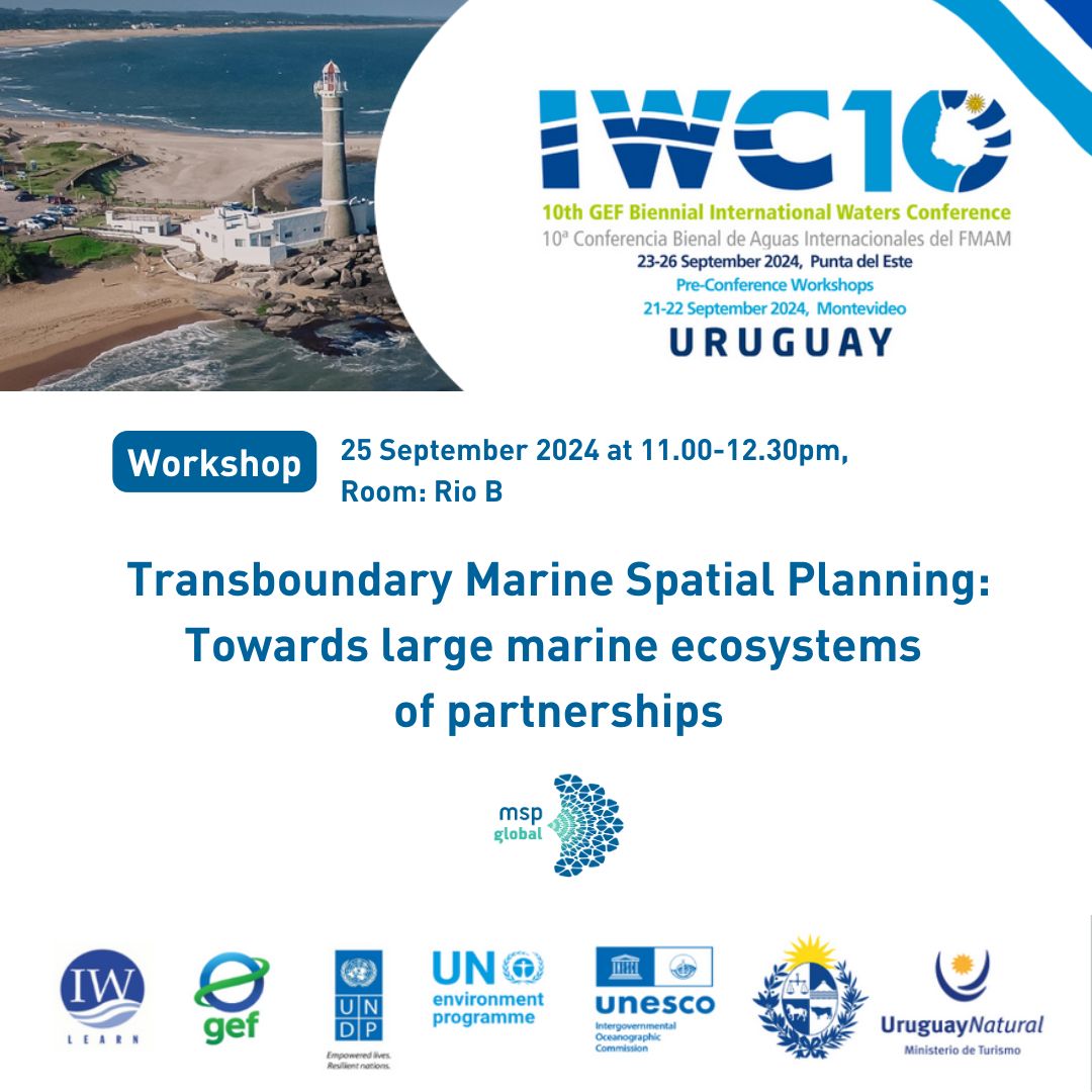 MSPglobal tweet media