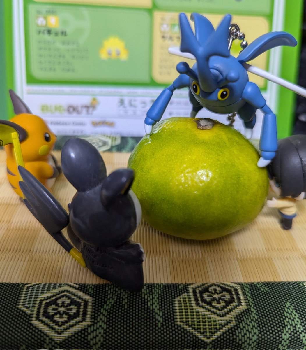 pokedama's tweet photo. https://t.co/e9f37ImfJm
