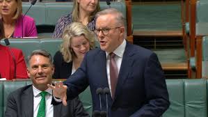 Havee S Chu Chu tweet media