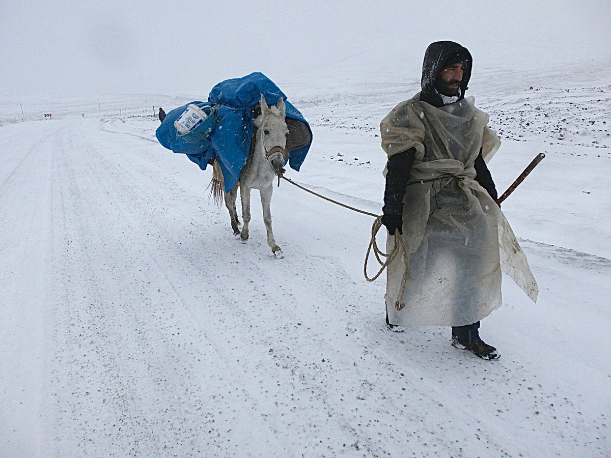 Paul Salopek tweet media