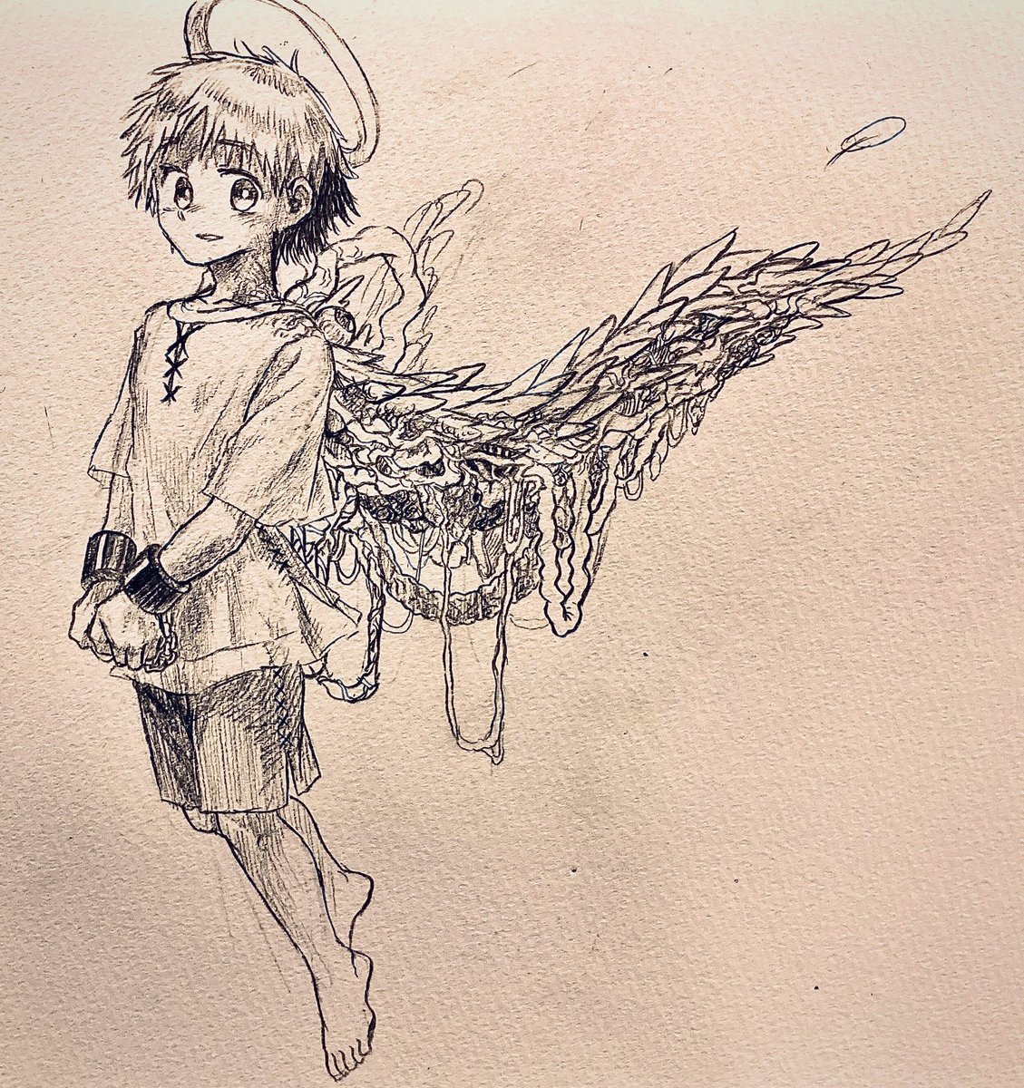 itayagi03's tweet image. 天使が罪を犯してしまうと、その身体に穢れが現れてしまうのだそうです。