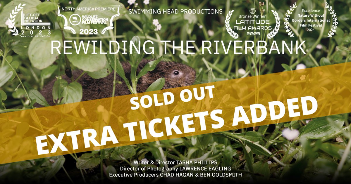 swimming_head's tweet photo. Amazing response to Rewilding the Riverbank online premiere - SOLD OUT!🙌More FREE tickets added 03/10/24🎟️

Book@ https://t.co/nbdX9V9FBh

Thanks to @thedavidcarrier @jaowallace @BenGoldsmith @ChadwickHagan @HFFnature @WiltsWildlife @gow_derek @RiverActionUK @KernowConserva1 https://t.co/0pcJl8HfNM