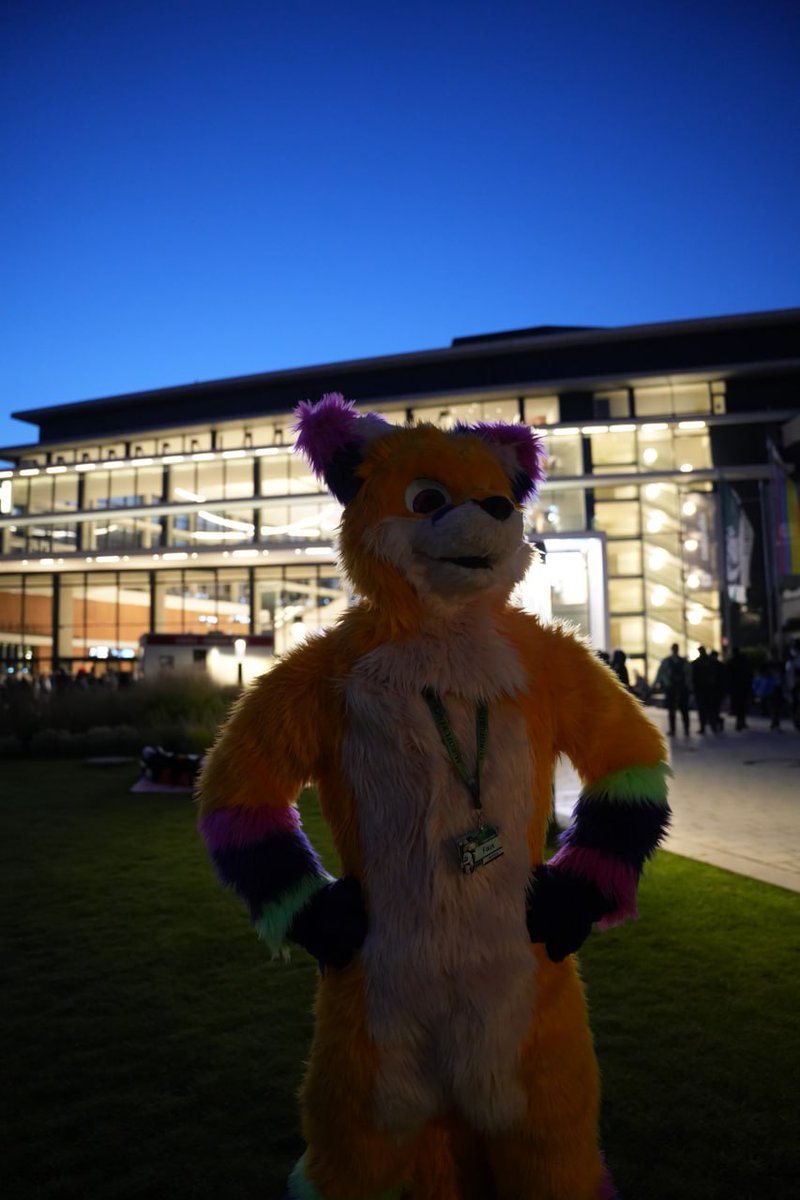 XFauxFox (@Faux_the_Foxxo) / Posts / X