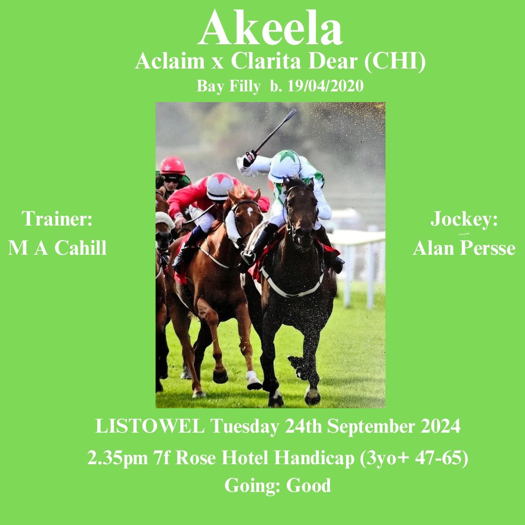 Nixterr1's tweet image. Very best of luck to the Team behind this awesome filly by @greatAclaim, shes already won but it would be awesome if she could again tomorrow 🤞🍀 to Jockey @alanpersse. She is definitely a gritty tough horse. #homebred #whoosh #thoroughbred