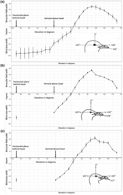 Steve Portugal tweet media