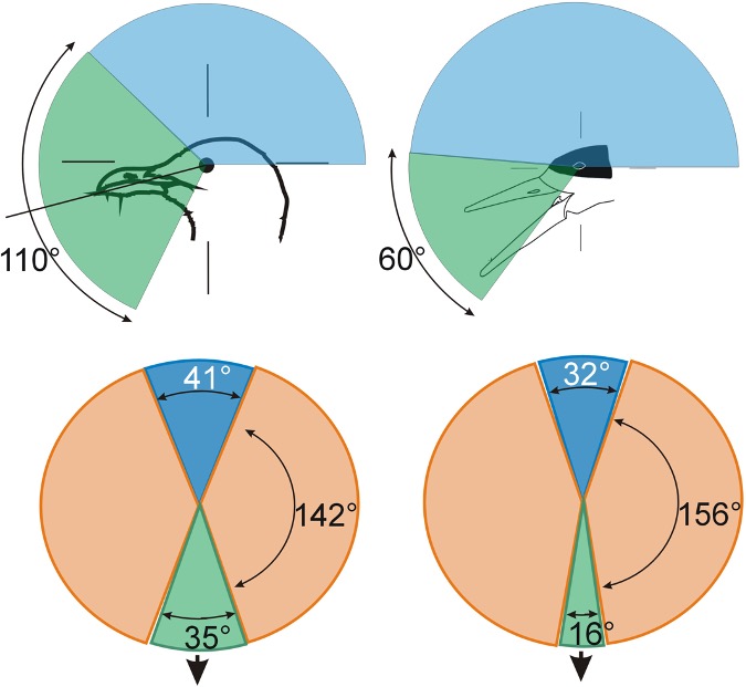 Steve Portugal (@sjportugal1979) on Twitter photo Our new paper is out today in <a href="/IBIS_journal/">BOU π©π»βπ«π¨πΏβπ«π§π½π³π½ββοΈ π</a>. All about the visual fields of gulls and their propensity for collisions with anthropogenic objects. Link to paper below. Congrats 1st author Jenny Cantlay, with the wonderful Prof. Graham Martin. <a href="/RHULBioSci/">RHUL Biology</a> #ornithology Our new paper is out today in <a href="/IBIS_journal/">BOU π©π»βπ«π¨πΏβπ«π§π½π³π½ββοΈ π</a>. All about the visual fields of gulls and their propensity for collisions with anthropogenic objects. Link to paper below. Congrats 1st author Jenny Cantlay, with the wonderful Prof. Graham Martin. <a href="/RHULBioSci/">RHUL Biology</a> #ornithology