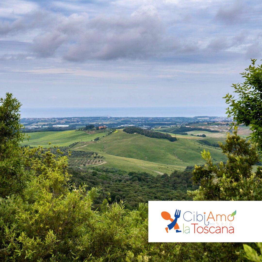 Anci Toscana tweet media