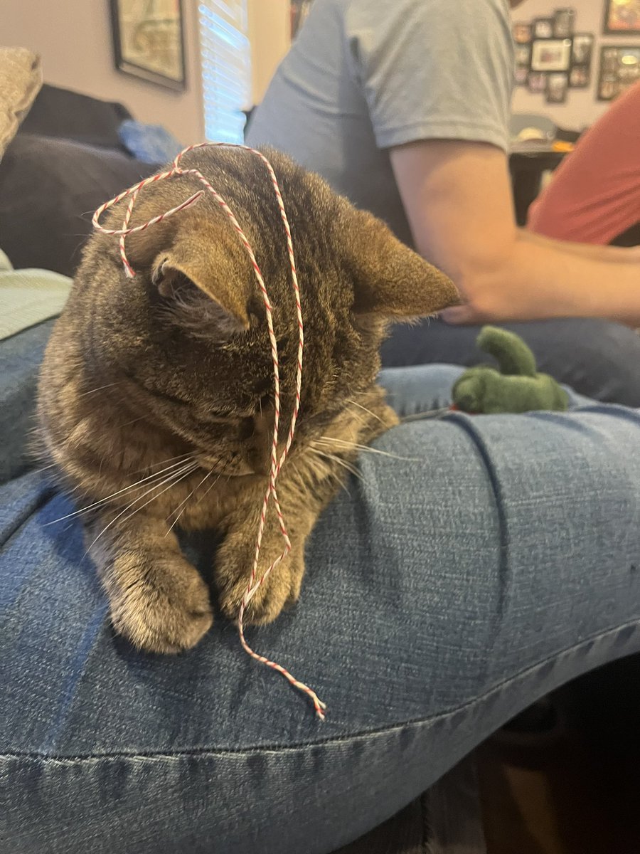 thise is so humilerating. strinkhead.