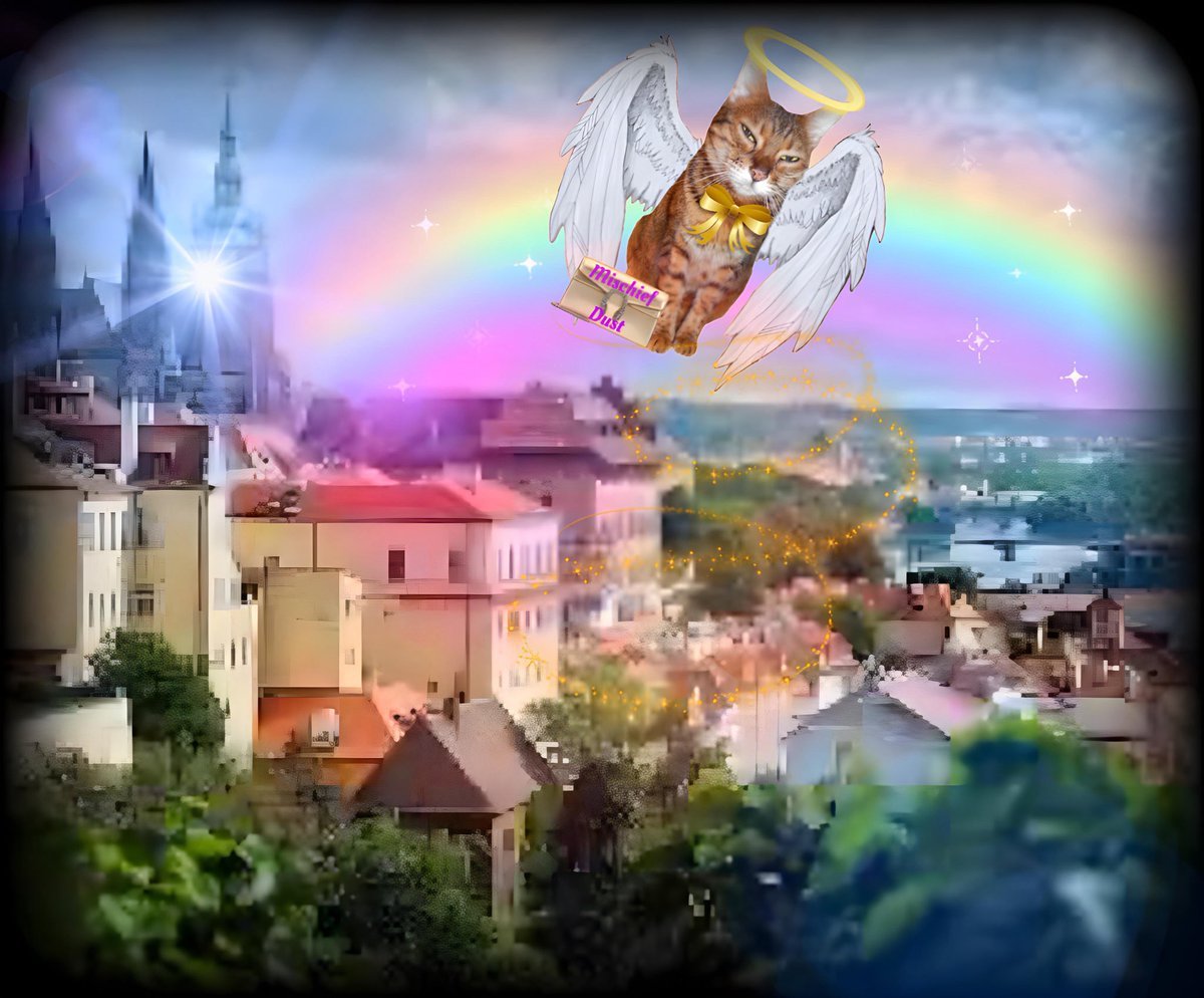Lilyregale, 🌈Bibi😽,🌈 Colombo😽 (@lilyregale) on Twitter photo My special #HedgewatchForGina sprinkling mischief dust over Prague in Gina's tribute. I know I'm late but Lily was away. Gina, you never gonna be forgotten our belovede purrista of <a href="/Hedgewatchers/">Hedgewatch</a> team. Love Bibi🌈🌈Colombo &Lily My special #HedgewatchForGina sprinkling mischief dust over Prague in Gina's tribute. I know I'm late but Lily was away. Gina, you never gonna be forgotten our belovede purrista of <a href="/Hedgewatchers/">Hedgewatch</a> team. Love Bibi🌈🌈Colombo &Lily