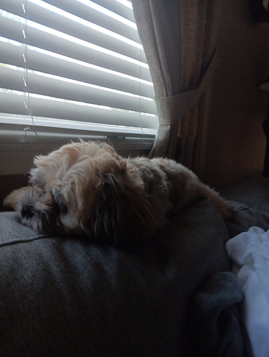 Mark Gibbons tweet media