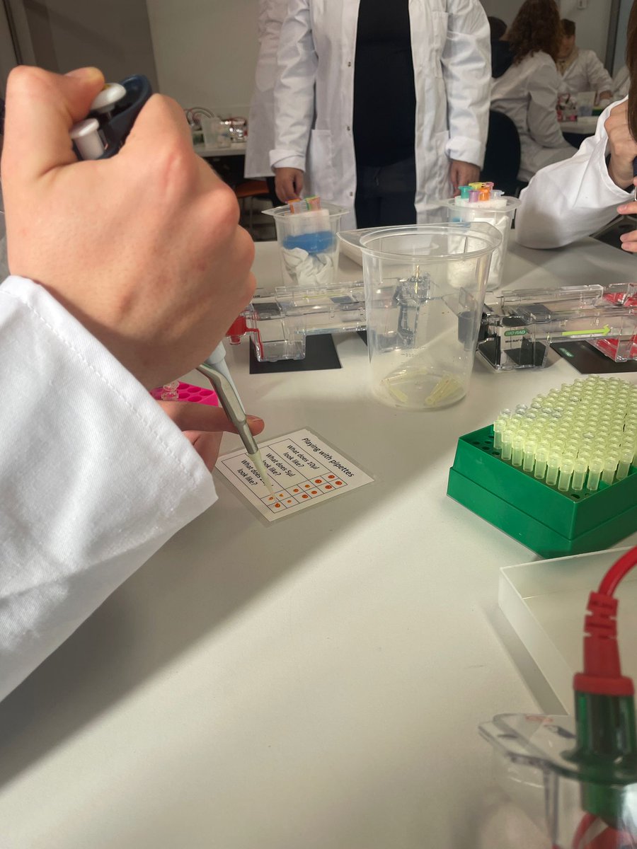 A very exciting week #teaching higher #Biology students in Dingwall techniques for #molecularbiology and #bioinformatics 🧬

Wonderful collaborative effort from Edinburgh Genomics, <a href="/SBSatEd/">Biological Sciences | University of Edinburgh</a> <a href="/4273pi/">4273pi</a> <a href="/SSASTEM/">ScienceSkillsAcademy</a> and <a href="/skillsdevscot/">Skills Development Scotland</a>

#STEMeducation #science #outreach #scicomm