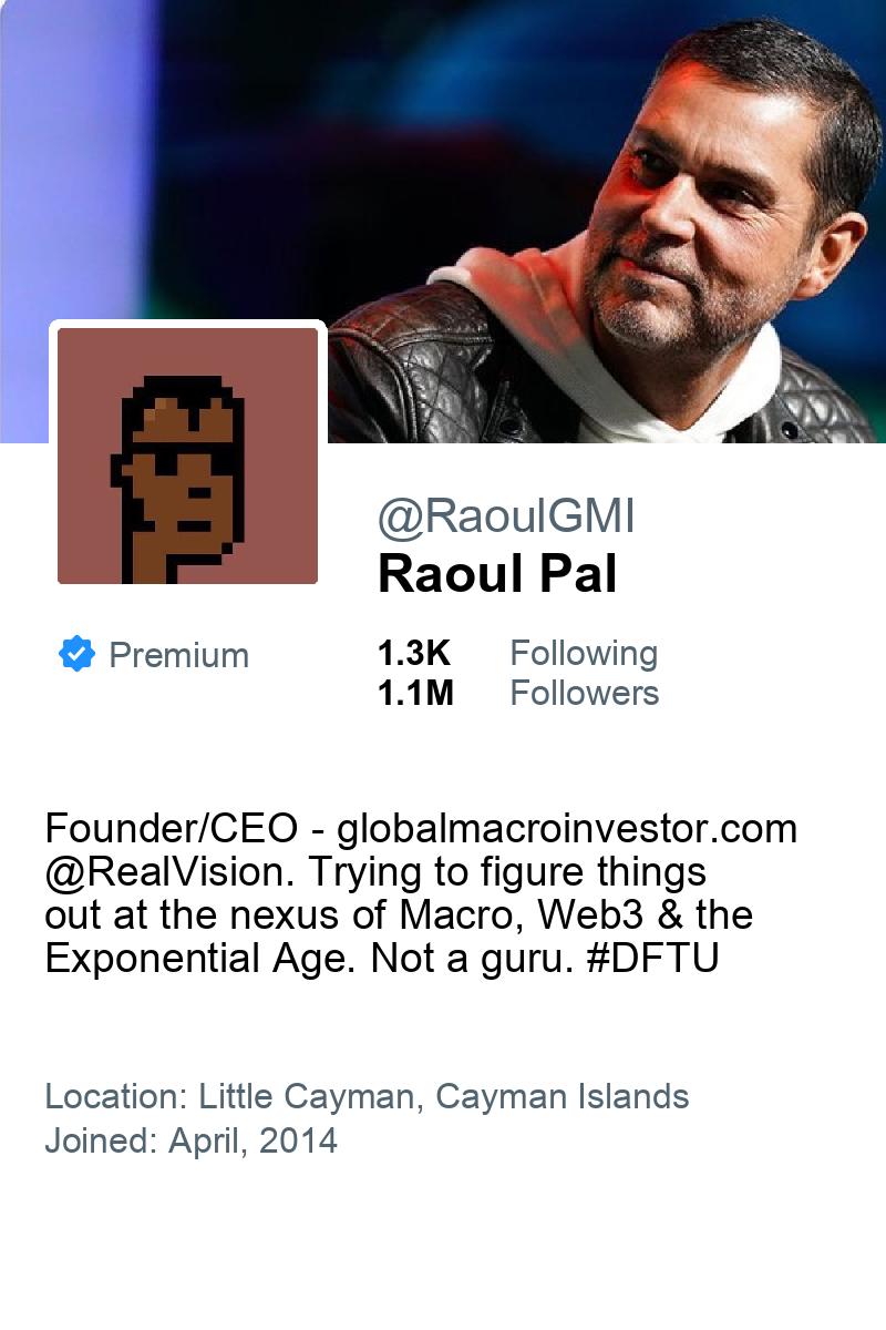 🆕 @raoulgmi has started following @imjustnewatai