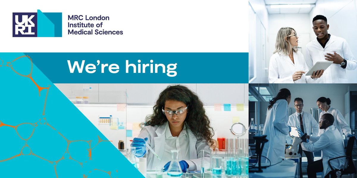 MRC_Recruitment's tweet photo. Currently recruiting a Senior Molecular Biologist. 
Closing date - 13th October 
To find out more  - https://t.co/CT6i0zDZpp https://t.co/i50bamGLFM