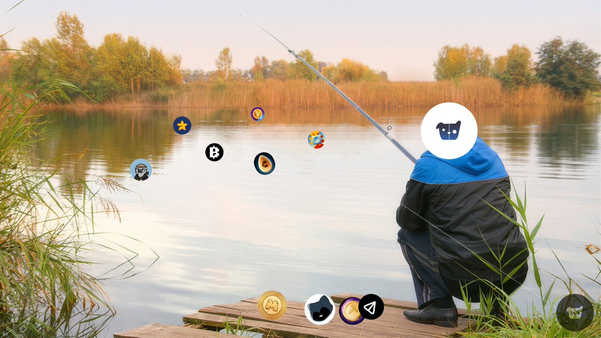 Cats&Dogs tweet media