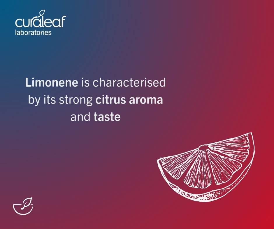 Curaleaf_Labs's tweet photo. If you've ever peeled an orange, chances are you've smelled Limonene - our terpene of the week. But do you know where else it can be found, and what popular commercial use it has? https://t.co/91whOWsCvT