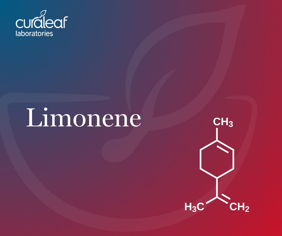 Curaleaf_Labs's tweet photo. If you've ever peeled an orange, chances are you've smelled Limonene - our terpene of the week. But do you know where else it can be found, and what popular commercial use it has? https://t.co/91whOWsCvT