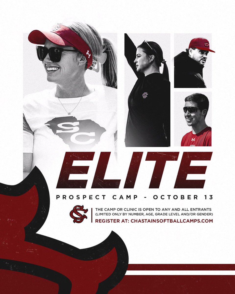 Chastain Softball Camps tweet media