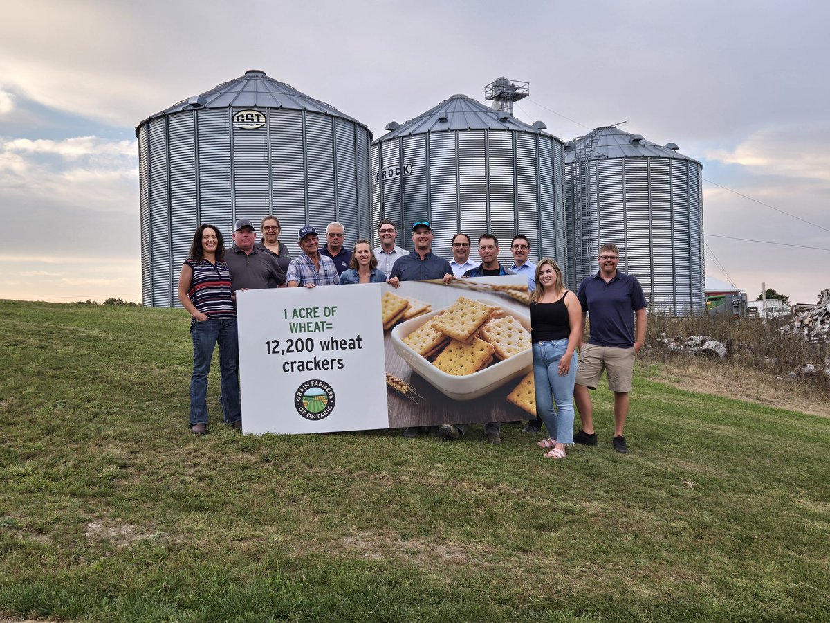 These are the faces of <a href="/GrainFarmers/">Grain Farmers of Ontario</a> farmers that have put up signs showcasing facts about grain grown across D12. 

We’ve also made our way onto social media @CBOTinfo with over 1.8m impressions extending to folks outside of our area with shares and comments spreading our story.