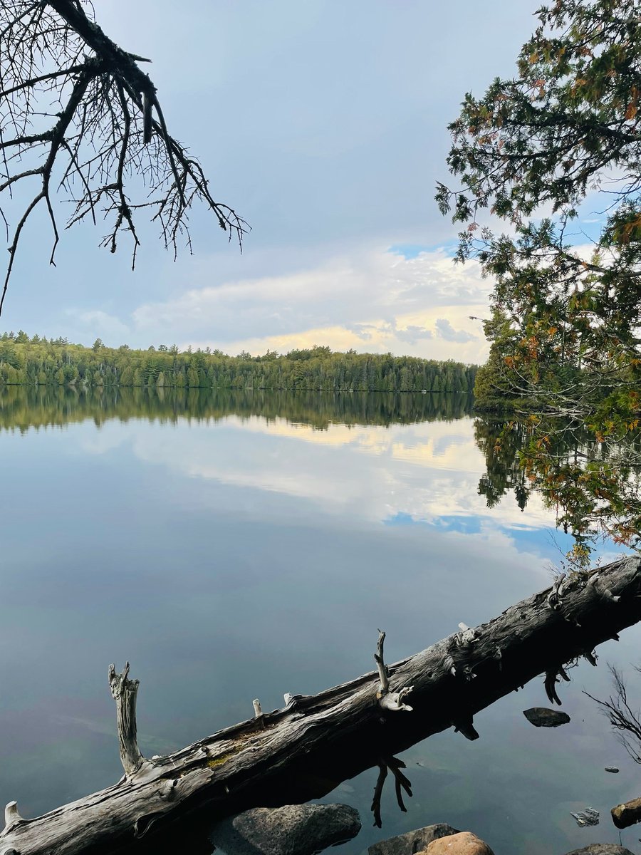 dcduba's tweet image. Sawbill campsite 2024