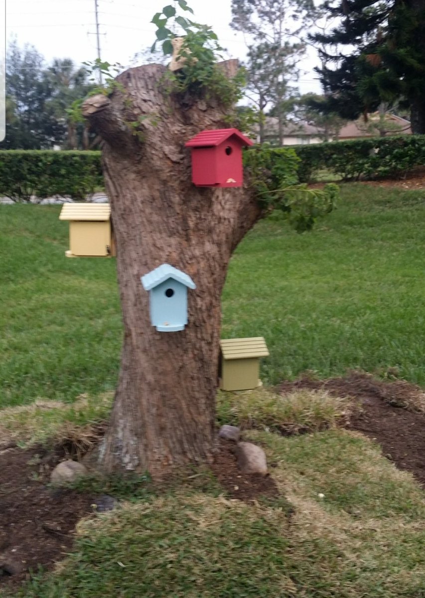 michaeljwhelan tweet media