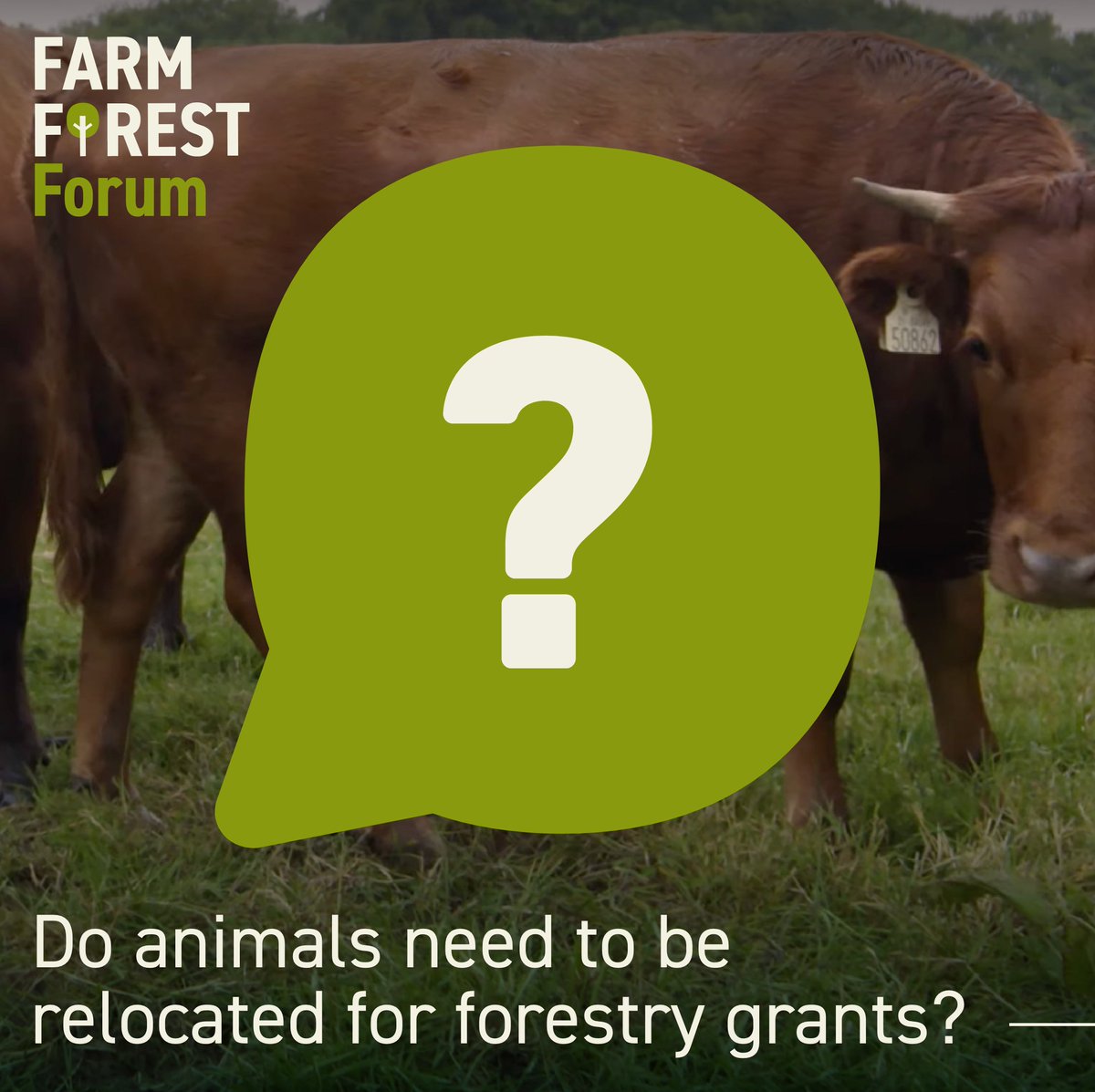 FarmForest tweet media