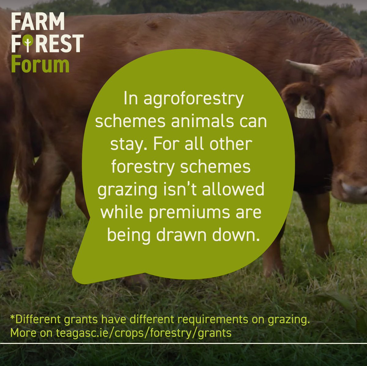 FarmForest tweet media