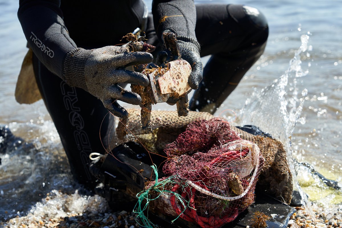Nueva Pescanova (@pescanovacorp) on Twitter photo En el marco del proyecto LIBERA este fin de semana se retiraron 3.400 kg de residuos de nuestros mares. Nos sumamos a esta iniciativa donando el equivalente en alimentos a <a href="/fesbal_org/">Federación Española de Bancos de Alimentos-FESBAL</a> para acercar productos del mar a quienes más lo necesitan
<a href="/SEO_BirdLife/">SEO/BirdLife</a> <a href="/ecoembes/">Ecoembes</a> <a href="/oceanidas_/">Oceánidas</a> En el marco del proyecto LIBERA este fin de semana se retiraron 3.400 kg de residuos de nuestros mares. Nos sumamos a esta iniciativa donando el equivalente en alimentos a <a href="/fesbal_org/">Federación Española de Bancos de Alimentos-FESBAL</a> para acercar productos del mar a quienes más lo necesitan
<a href="/SEO_BirdLife/">SEO/BirdLife</a> <a href="/ecoembes/">Ecoembes</a> <a href="/oceanidas_/">Oceánidas</a>