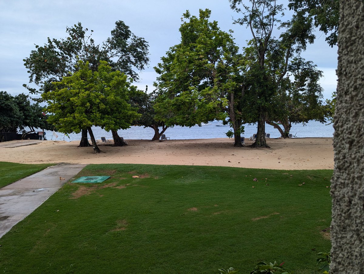 ChicagoFunClub1's tweet photo. Our view this morning from the room.#jamaica #negril #7milebeach #chicagofunclub #nude #nudism #nakes https://t.co/kXuSm2giH8