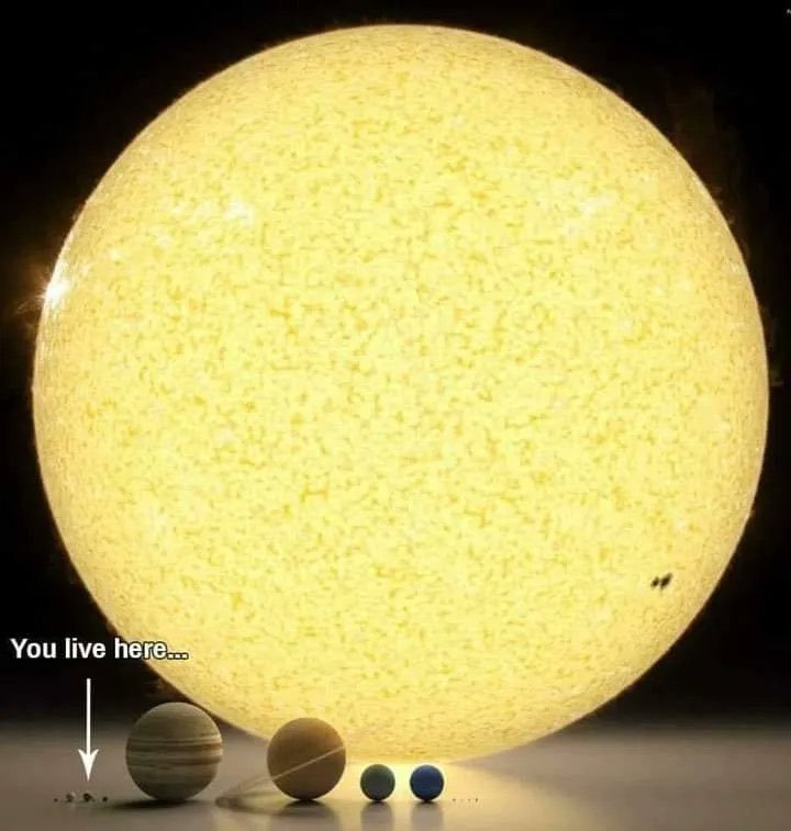 Curiosity tweet media