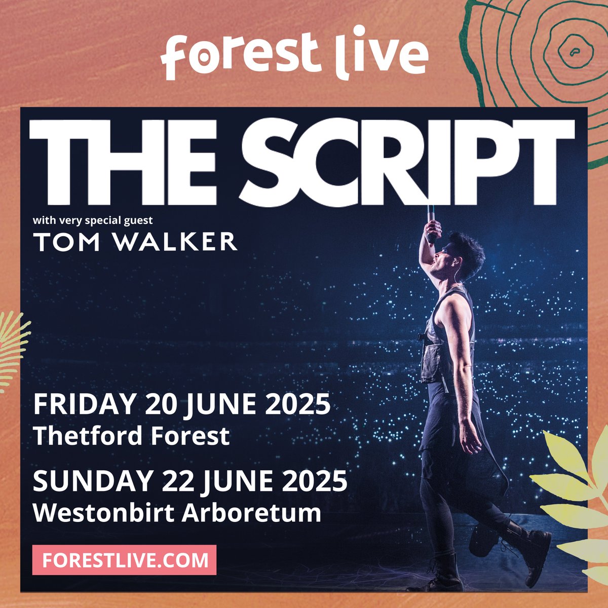 Forest Live - Forestry England tweet media