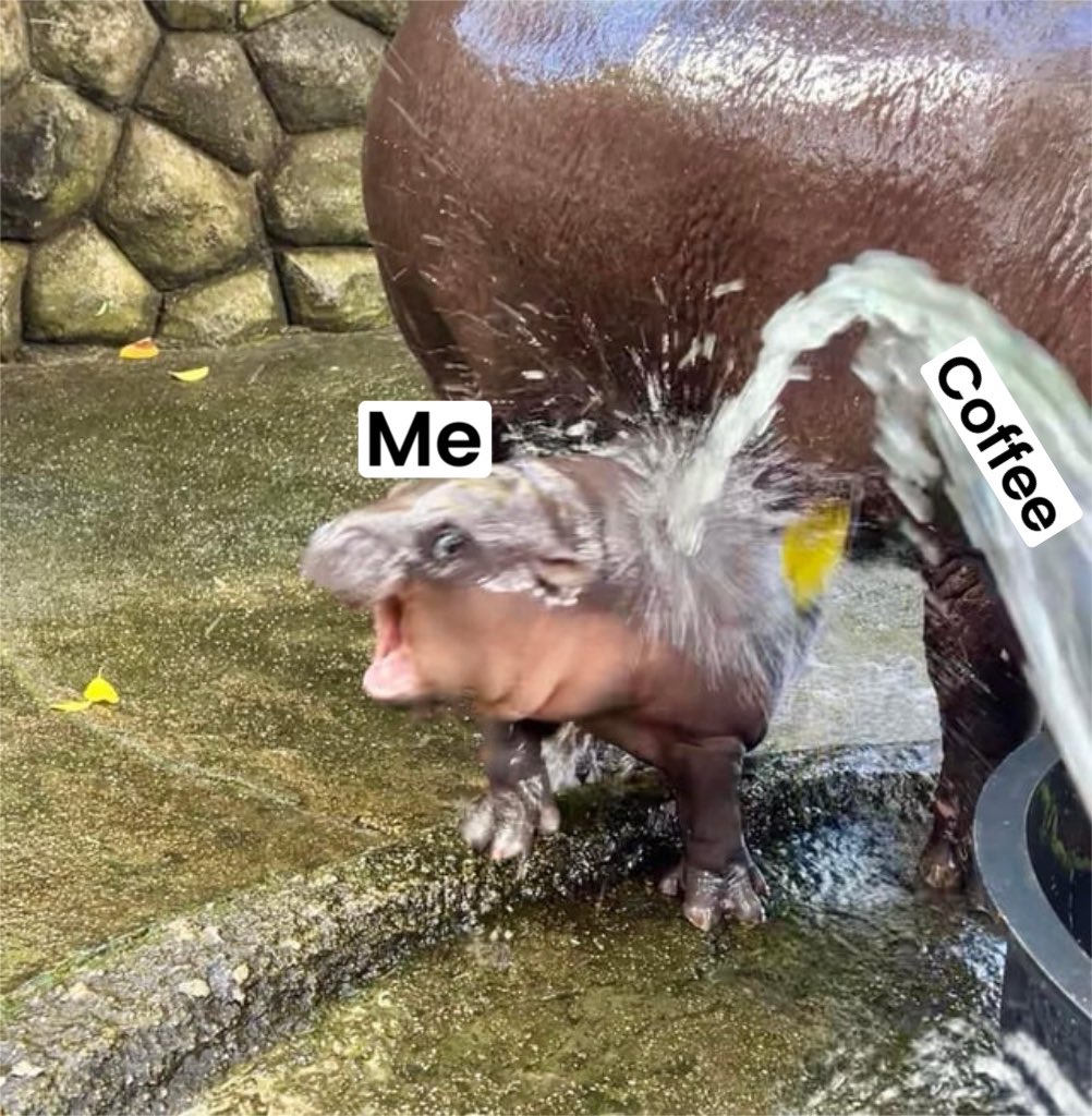 The only way to get through a Monday