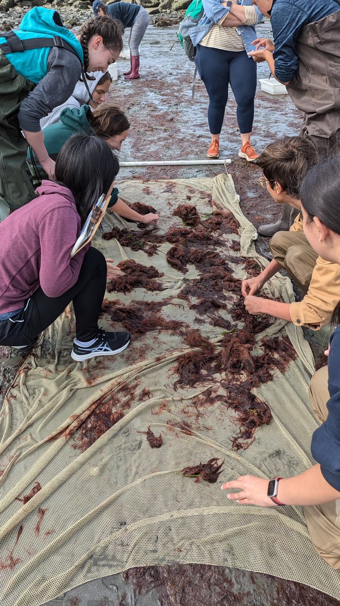 Mr. Christian Dockum tweet media