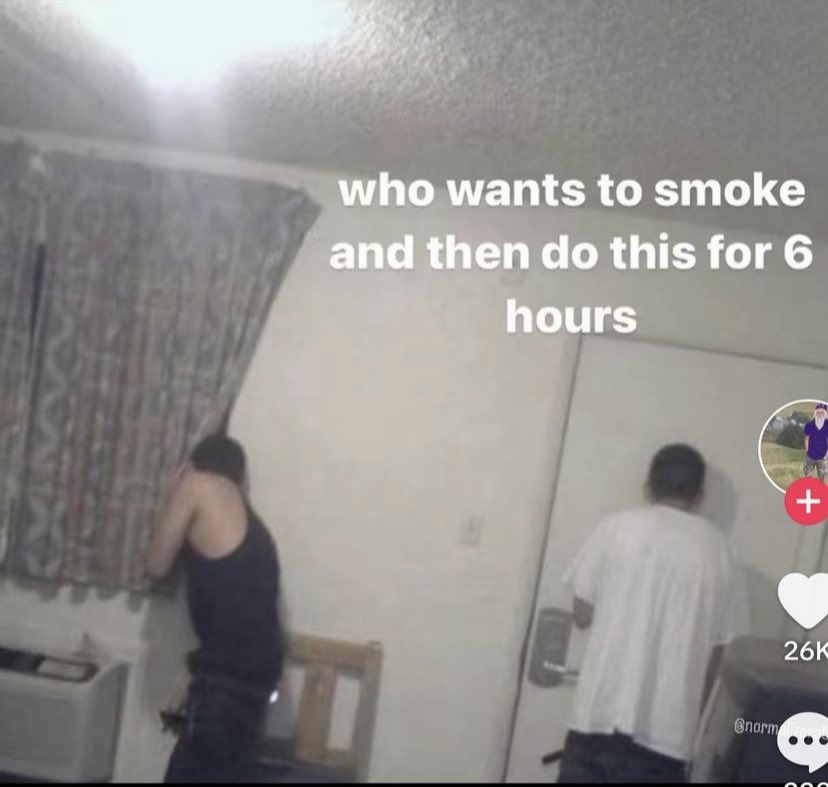 northstardoll's tweet image. 