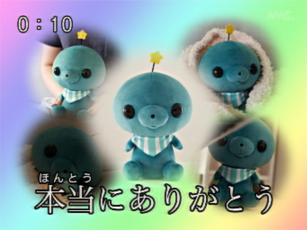 教育番組 タマ ぬいぐるみ化企画 - CAMPFIRE (キャンプ 教育番組 タマ ぬいぐるみ化企画 - CAMPFIRE (キャンプ