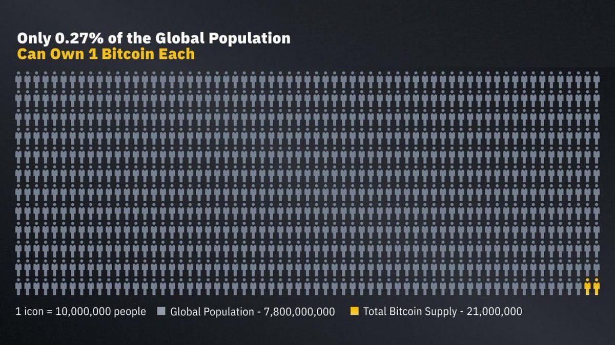 Owning just 1 Bitcoin is becoming increasingly rare.