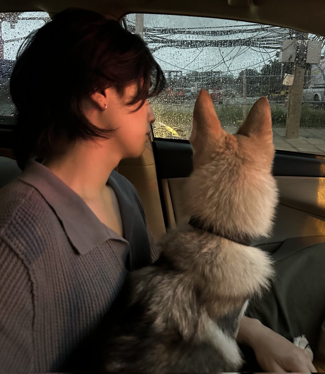 I'll give you guys another hint. Her name has Arabic origins.
#หมาไบเบิ้ลชื่ออะไร