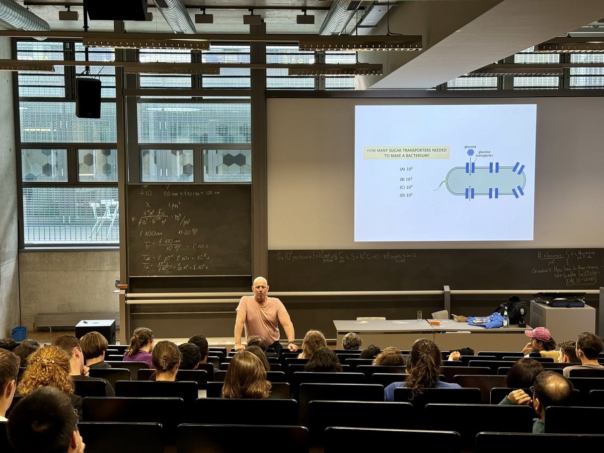 PoLDresden's tweet photo. Renowned #biophysicist Rob Phillips is visiting Dresden to give his exciting course on "Physical Biology of the Cell", starting today! This course is jointly organized by @PoLDresden and @mpicbg, and participants are promised to gain numerous insights 🤩🤓 https://t.co/vb1sHpZqRN