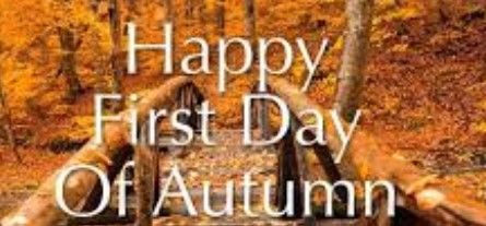 EHR Evolution tweet media