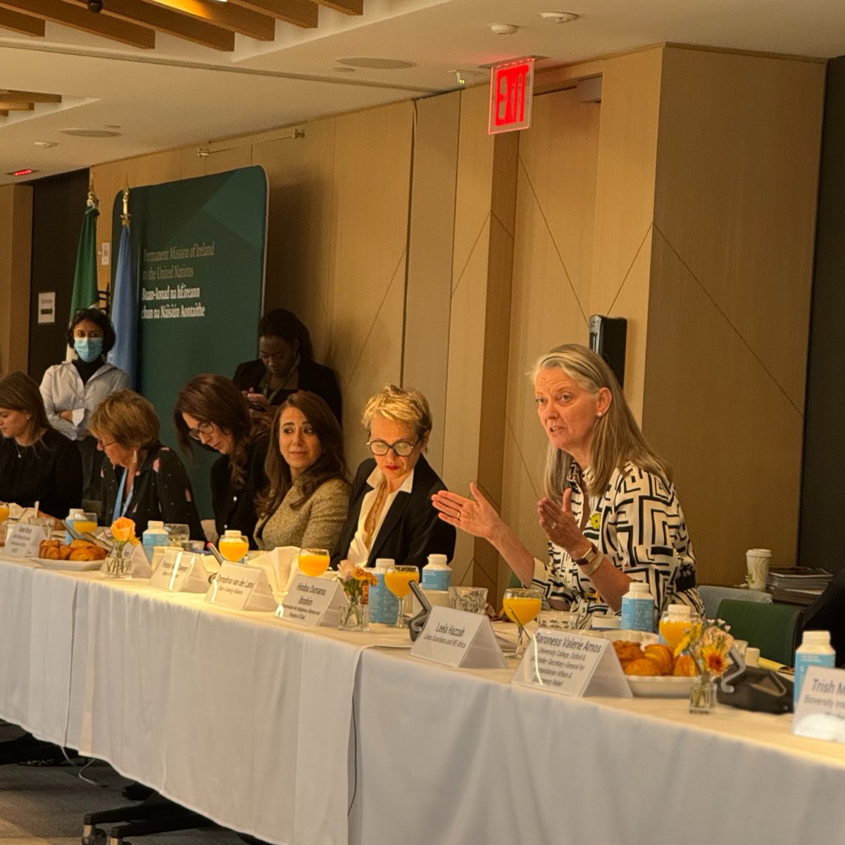 Dymphna van der Lans (@dymphnavdl) on Twitter photo Today I was honored to join the other members of the Women Leaders Network in NY, hosted by <a href="/AfricaEuropeFdn/">Africa-Europe Foundation</a>, to discuss some of the greatest challenges facing our global community.
Financing for energy, including #CleanCooking, must be a top priority. #UNGA79 #ClimateWeekNYC Today I was honored to join the other members of the Women Leaders Network in NY, hosted by <a href="/AfricaEuropeFdn/">Africa-Europe Foundation</a>, to discuss some of the greatest challenges facing our global community.
Financing for energy, including #CleanCooking, must be a top priority. #UNGA79 #ClimateWeekNYC