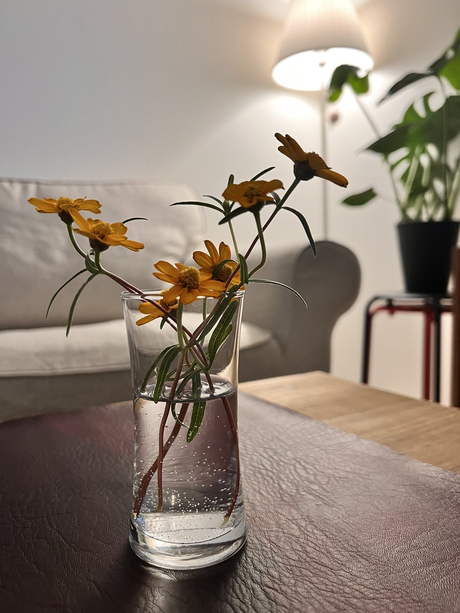 还记得你何时加入 X 吗？我知道！#我的X周年纪念日